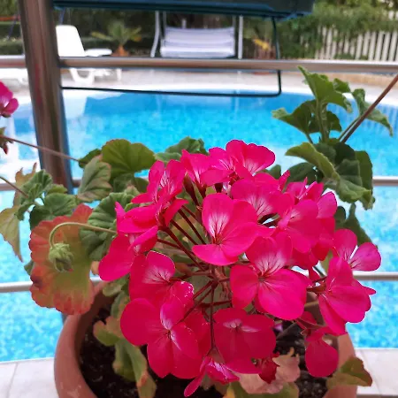 公寓式酒店 Aquaria 4*