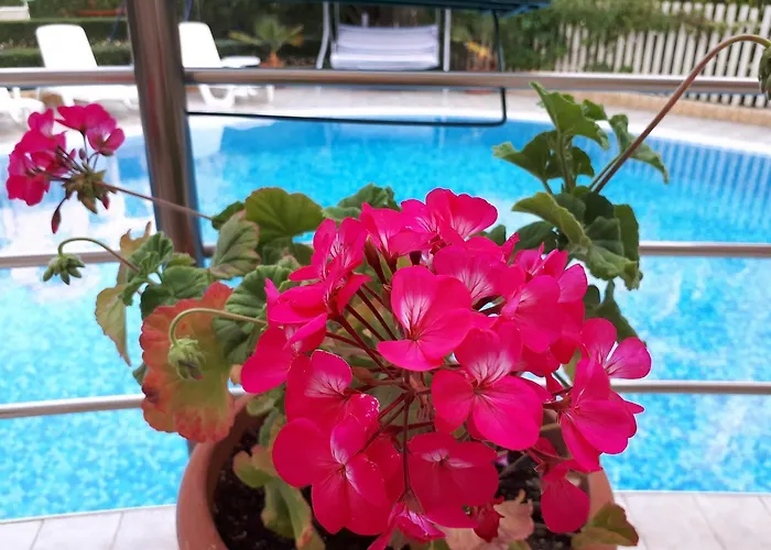 Apart Otel Aquaria 4*